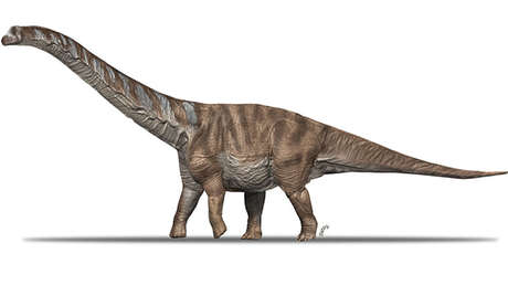 Describen una nueva especie de titanosaurio que habitó la actual región de los Pirineos hace unos 70 millones de años