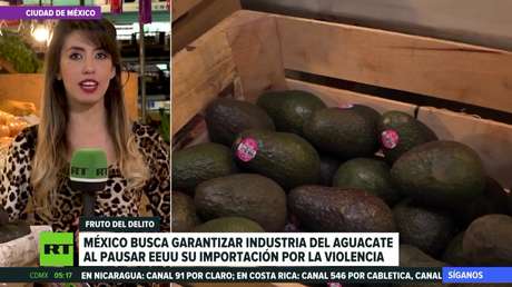 México busca asegurar la industria del aguacate al suspender EE.UU. su importación por la violencia