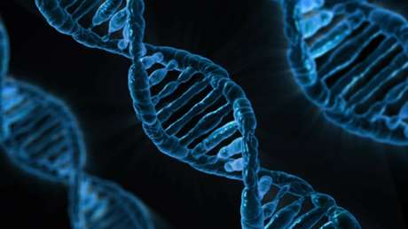 Científicos descubren un virus de 268 millones años presente en el ADN de los humanos