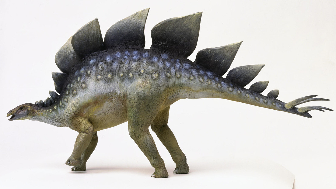 Descubren en China los restos del estegosaurio más antiguo de Asia