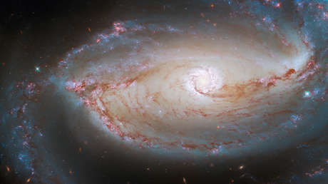 El telescopio espacial Hubble captura una fotografía de una galaxia espiral y barrada a 48 millones de años luz de la Tierra