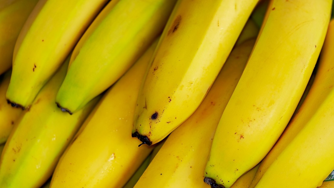 Ecuador plantea a China que le compre el plátano que no podrá exportar a Rusia ni a Ucrania
