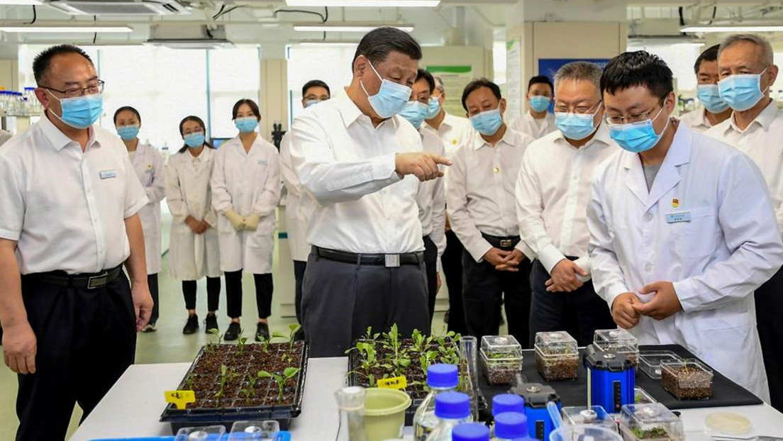 Xi Jinping declara que la seguridad alimentaria de China debe garantizarse con semillas nacionales