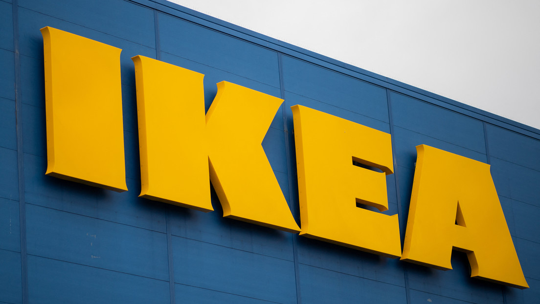 Albóndigas para insectos: IKEA ofrece una nueva propuesta ecológica para salvar especies en peligro de extinción