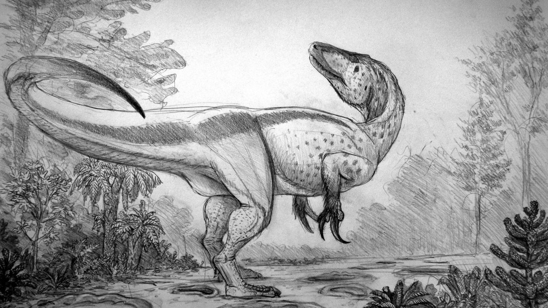 Hallan los fósiles de uno de los últimos dinosaurios que habitó el sur de Argentina antes de la extinción