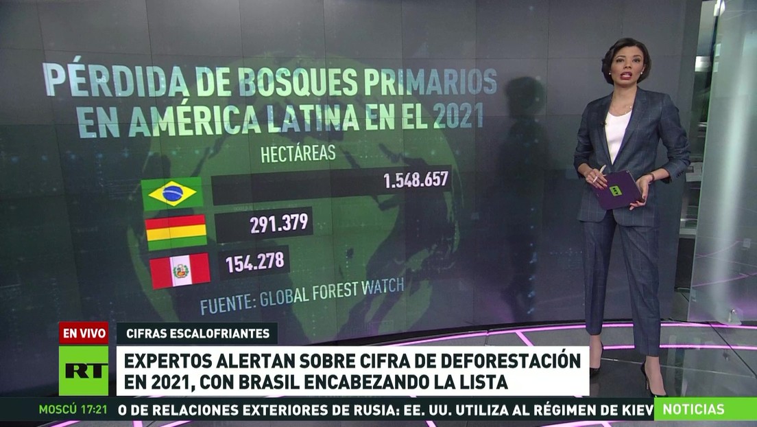 Expertos alertan sobre las cifras de deforestación en 2021, con Brasil encabezando la lista