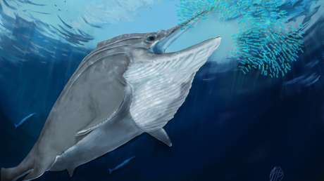 Arrojan luz sobre los fósiles de unos gigantescos reptiles marinos hallados a 2.800 metros de altitud en los Alpes