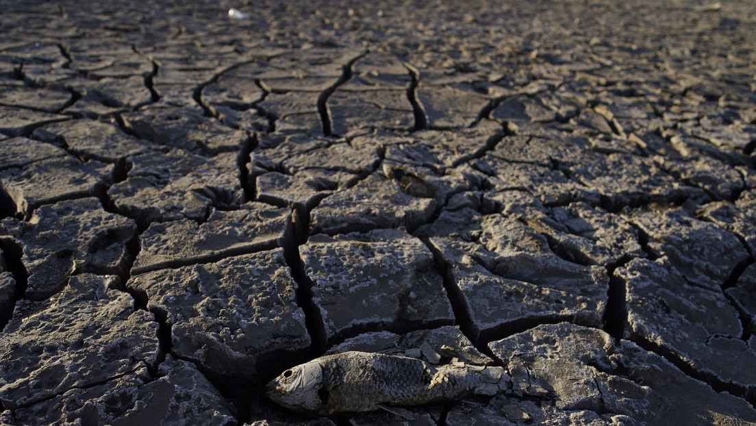 Hay que acelerar la mitigación "urgentemente": la ONU advierte que el número de sequías ha aumentado un 29 % desde el año 2000