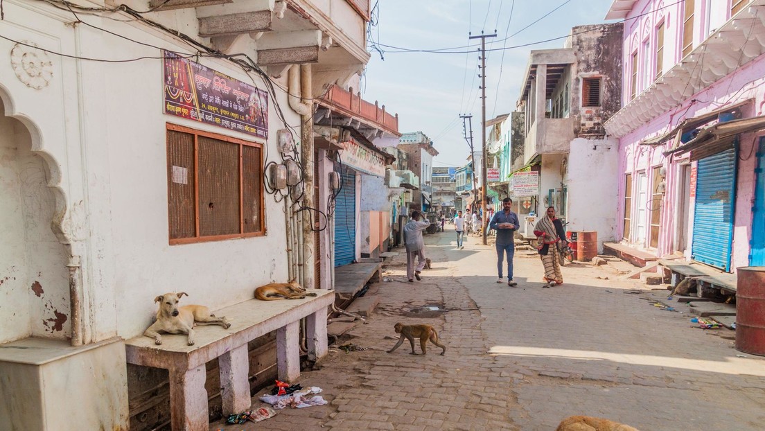 Arrestan en la India a los padres de un niño que vivía encerrado con 20 perros en condiciones insalubres