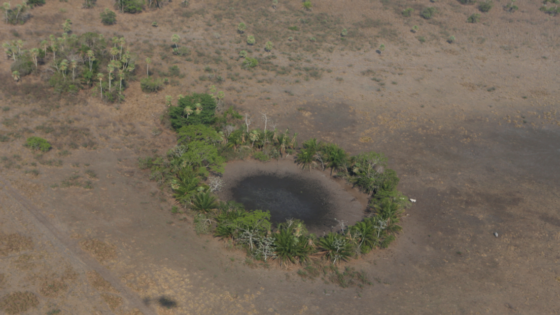 Arqueólogos encuentran una red de ciudades perdidas bajo la vegetación de la Amazonía