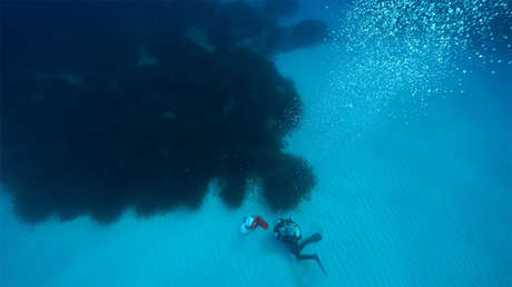 Descubren grandes cantidades de azúcar escondidas bajo el océano equivalentes a "32.000 millones de latas de Coca-Cola"