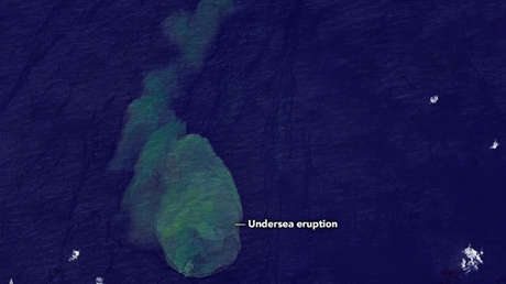 Registran indicios de erupción en el cráter de un volcán submarino habitado por tiburones y otros peces