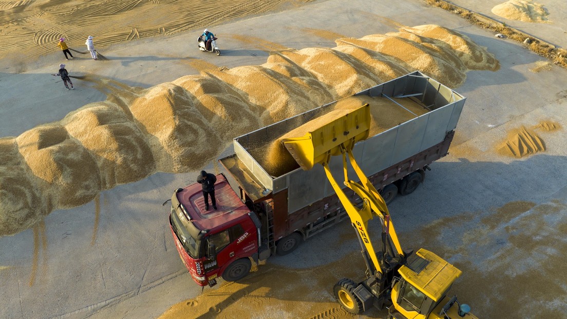 Los precios mundiales del trigo caen al nivel de abril al anunciar Putin la disposición de Rusia a garantizar la exportación segura de grano ucraniano