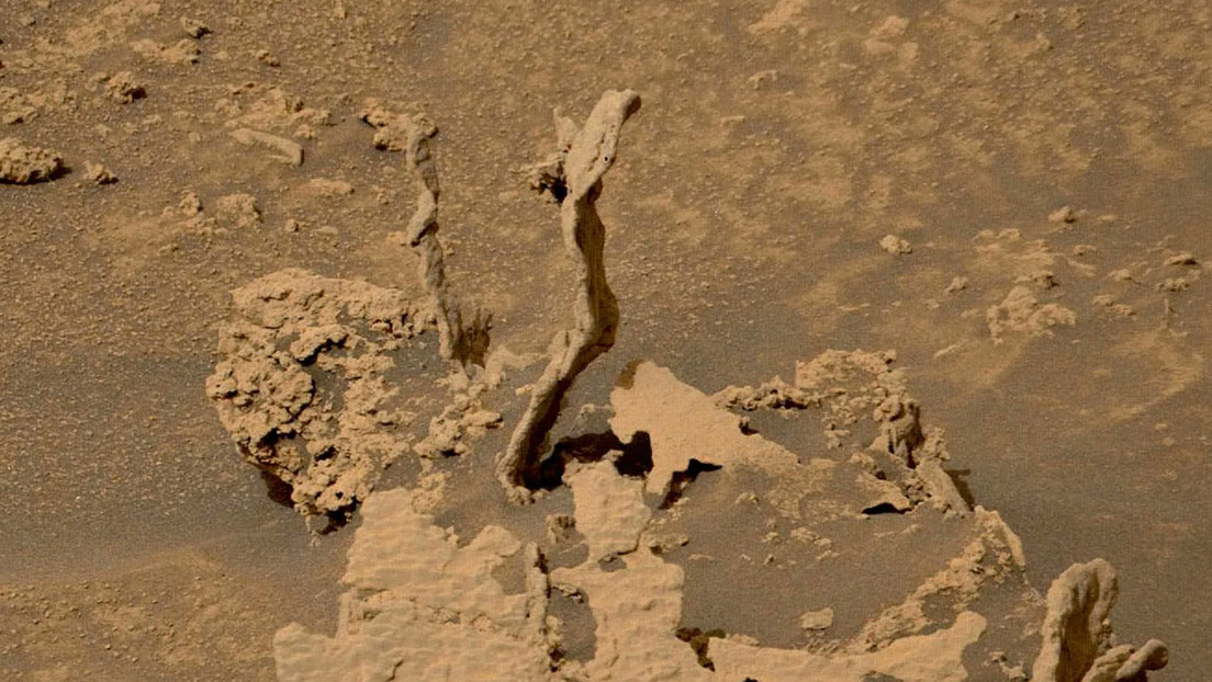 FOTO: El róver Curiosity de la NASA halla unas estructuras parecidas a árboles en Marte