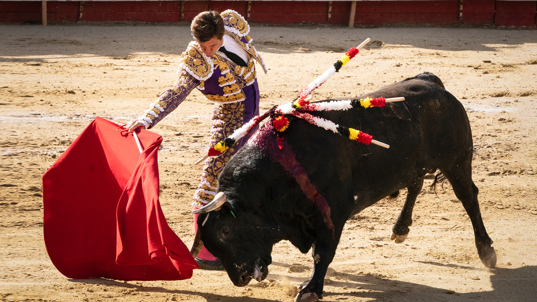 Un juzgado ordena la suspensión de las corridas de toros en la Plaza México durante al menos medio año