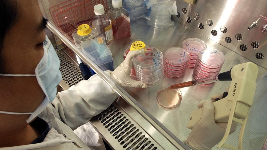 Científicos chinos encuentran la manera de crear vida 'reprogramando' células madre