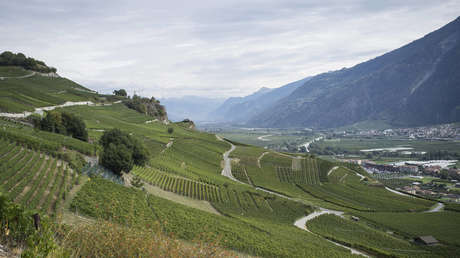 "No es el momento de dormir": Lanzan en Suiza un hotel 'cero estrellas' que ofrece reflexionar sobre problemas globales (IMÁGENES)