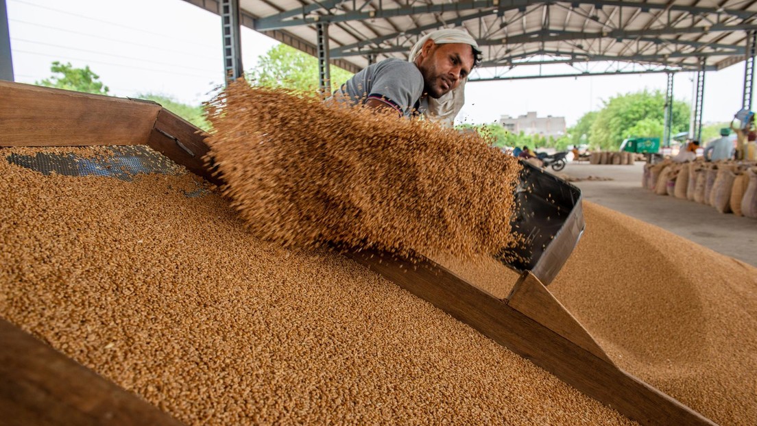 La India restringe la exportación de productos derivados del trigo a partir del 12 de julio