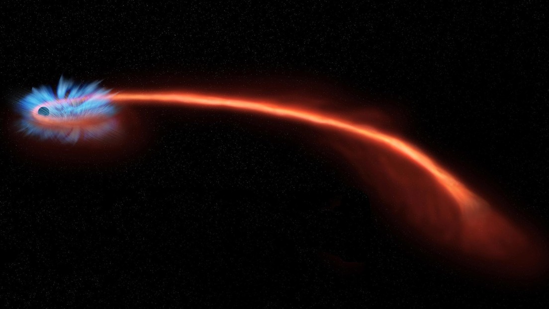 Observan cómo un agujero negro 'espaguetiza' a una estrella y descubren que esta no fue destruida por completo