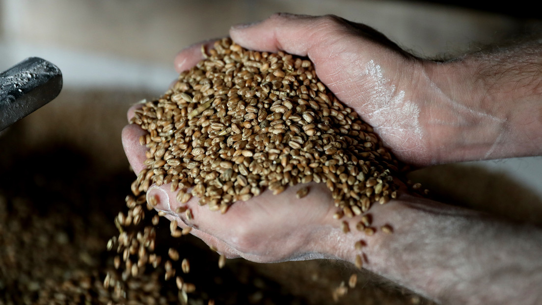 Informe: La UE experimentará un descenso en sus cosechas de cereales en 2022