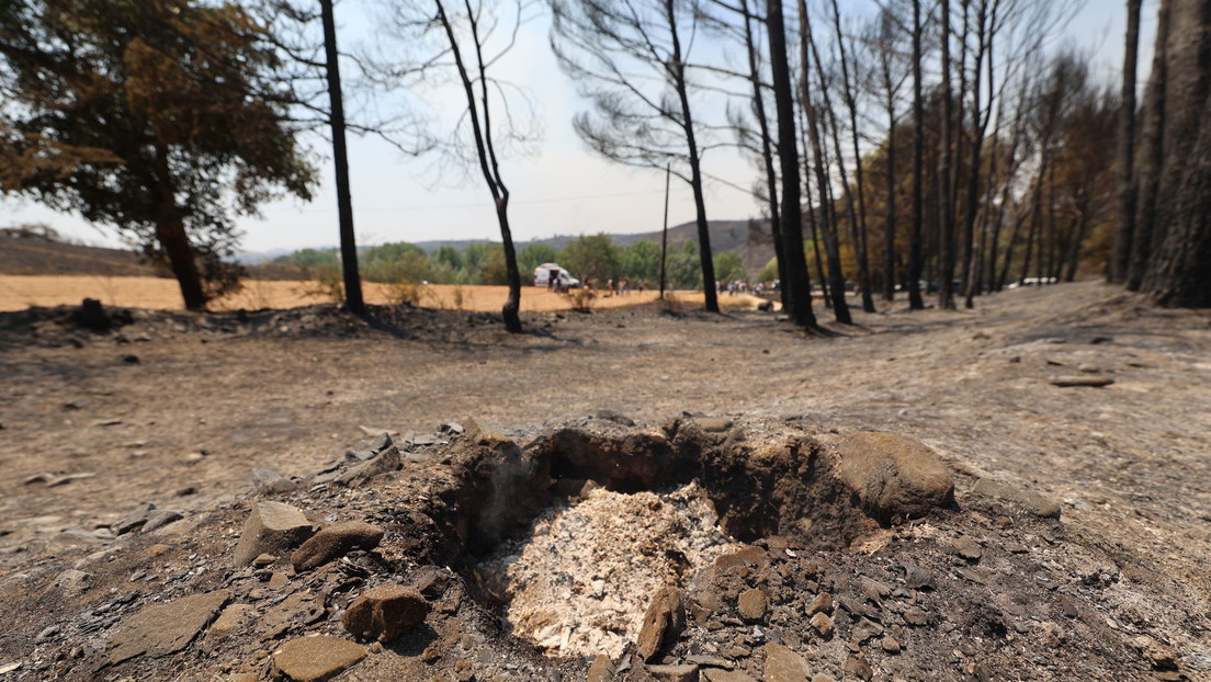 Una compañía de reforestación de alta tecnología admite estar detrás de un incendio forestal en España (VIDEOS)