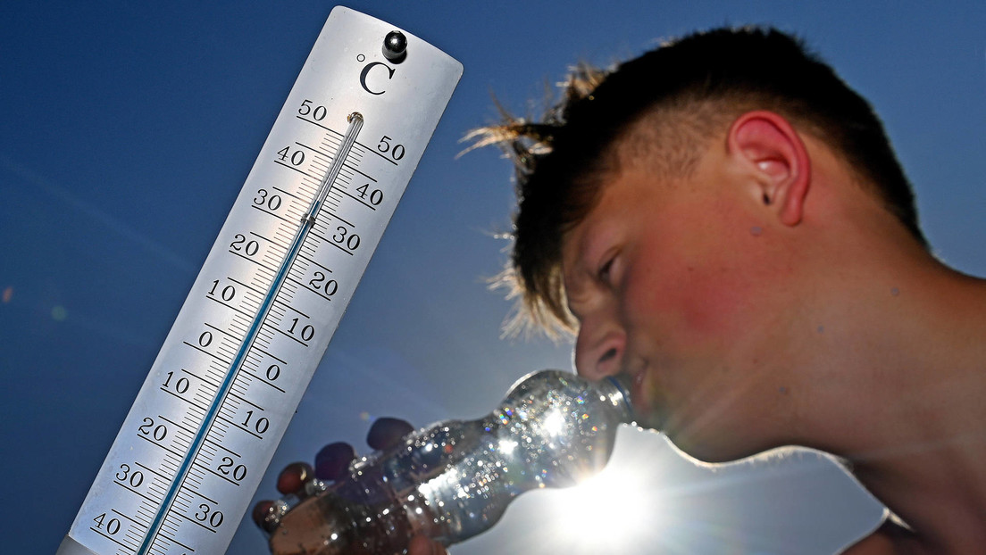 "Estoy harto de rogar agua": Despiden a un trabajador en España tras pedir agua en medio de la ola de calor