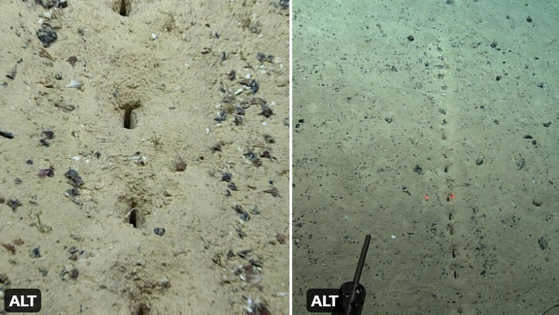 Descubren en el fondo del Atlántico una extraña fila de agujeros "excavados... por algo"