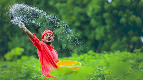 Rusia se convierte en el principal proveedor de fertilizantes de la India en medio de las sanciones de Occidente