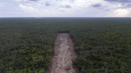 López Obrador dice que el Tren Maya fue declarado asunto de seguridad nacional por la intervención de EE.UU.