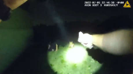 VIDEO: Un policía hiere por accidente a su compañero al intentar abatir a un pitbull que lo estaba atacando