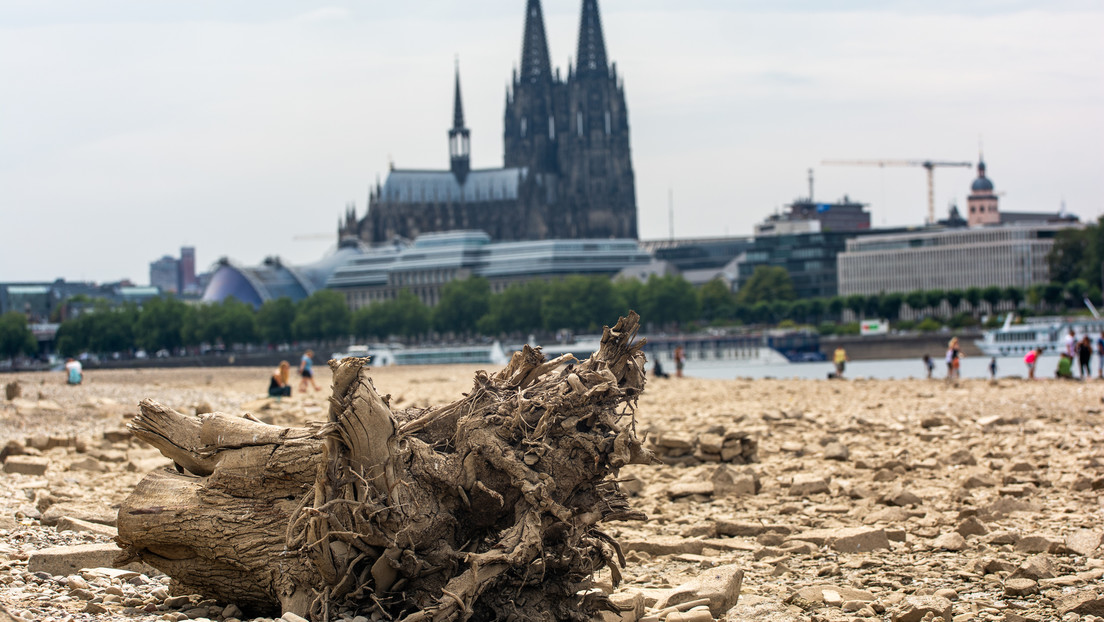 Europa sufre su peor sequía en décadas, marcada por masivos incendios forestales, reducción del agua en ríos y lagos y una amenaza para la agricultura