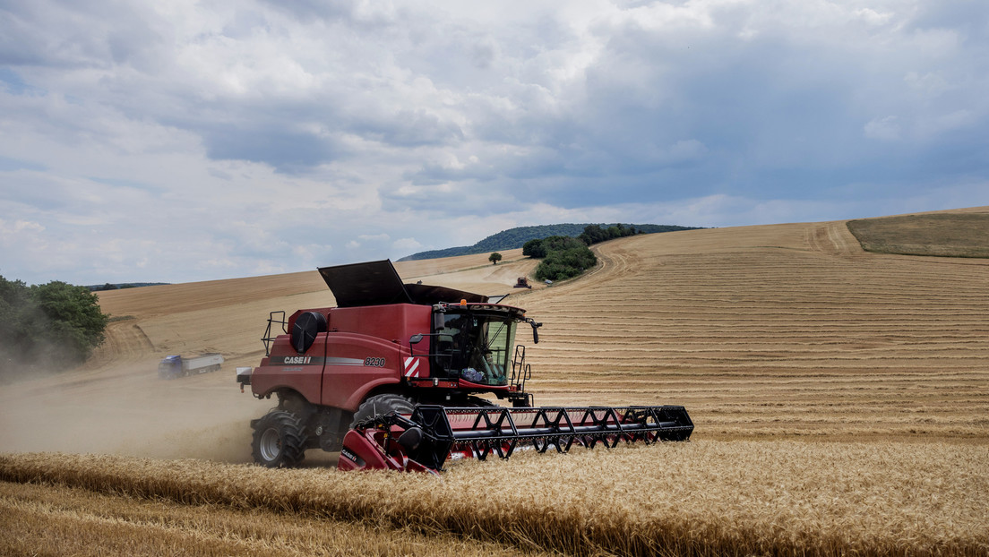 "Una ventana de exportación para Rusia": ¿cómo será la instalación de cereales que permitirá suministrar grano a Asia Central, Oriente Medio y China?