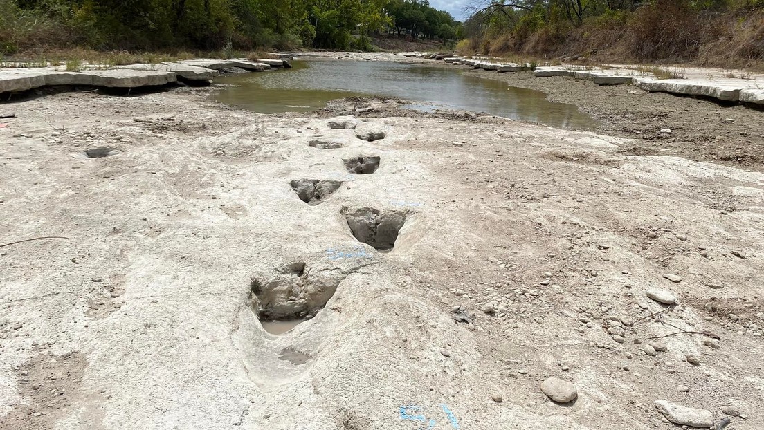 Descubren grandes huellas de dinosaurios en un río afectado por la sequía en Texas (FOTOS)