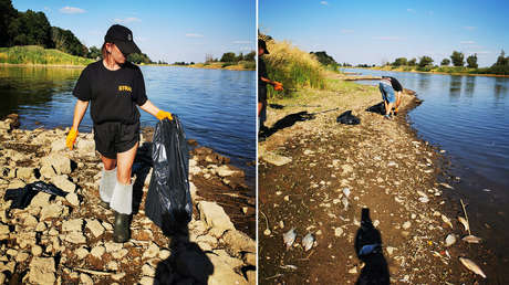Desastre ecológico en la frontera entre Alemania y Polonia: todo lo que se sabe hasta ahora