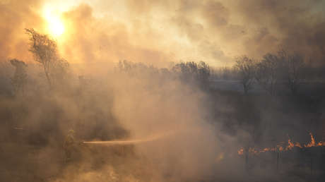 Argentina moviliza a las Fuerzas Armadas para frenar los incendios en el Delta del Paraná