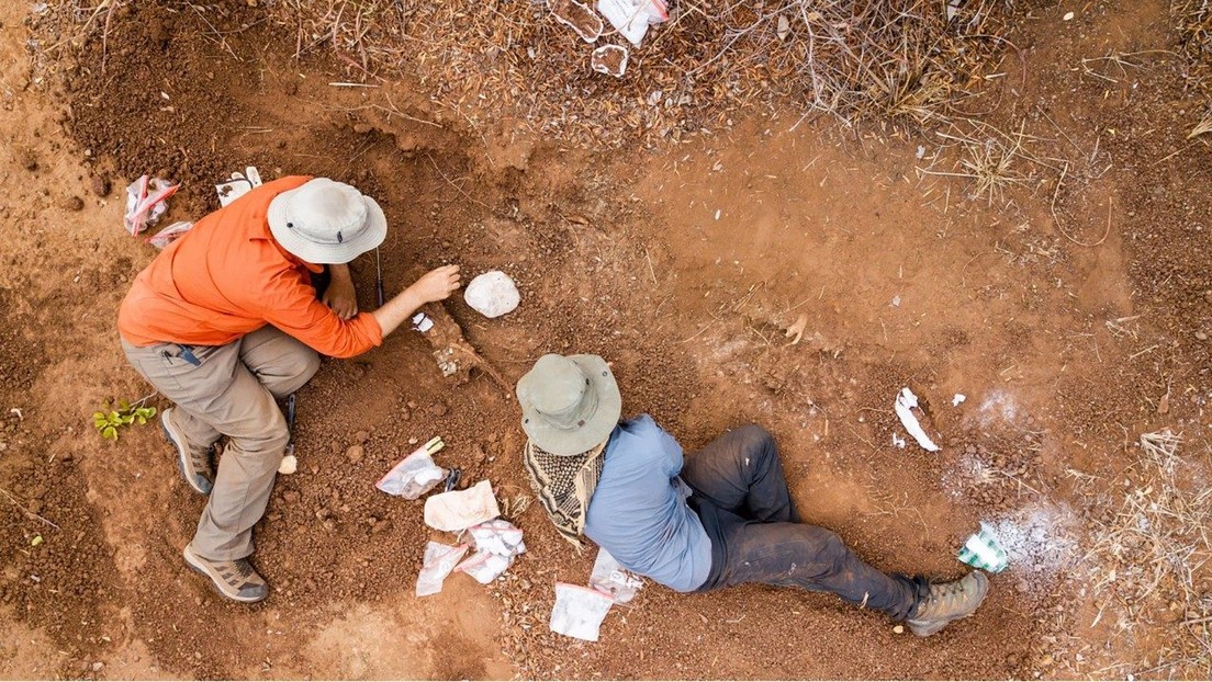 Paleontólogos descubren el dinosaurio más antiguo de África