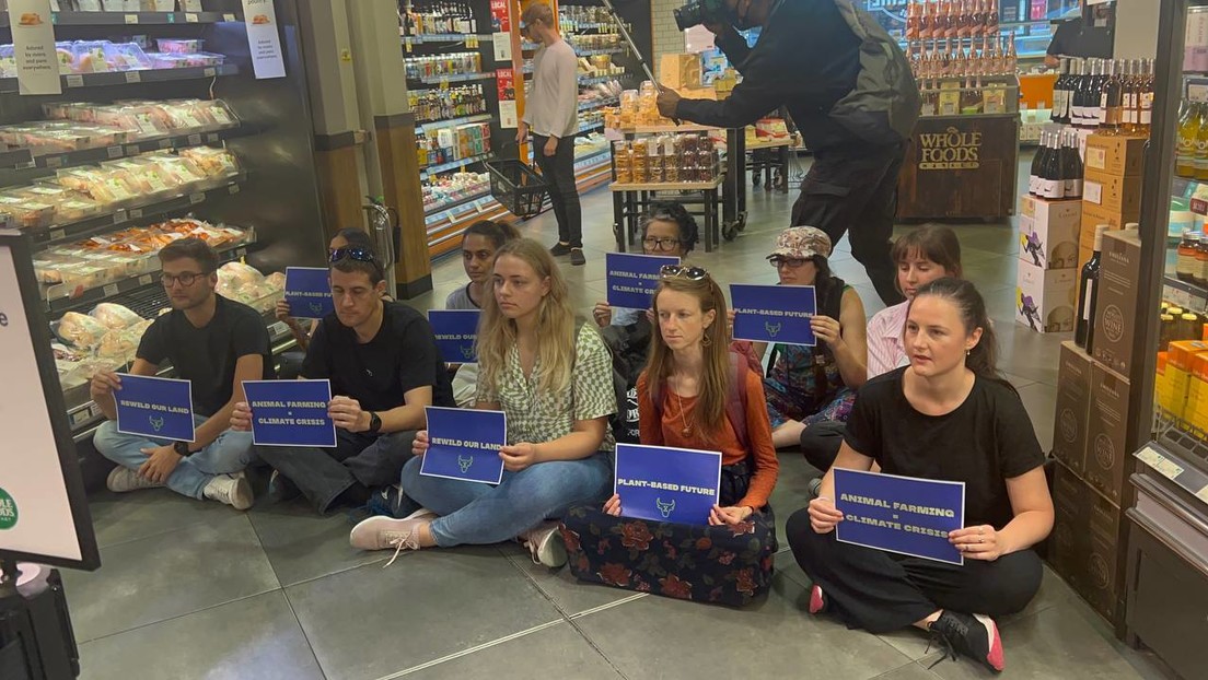 Activistas bloquean acceso a productos lácteos en supermercados e interrumpen su suministro en Reino Unido