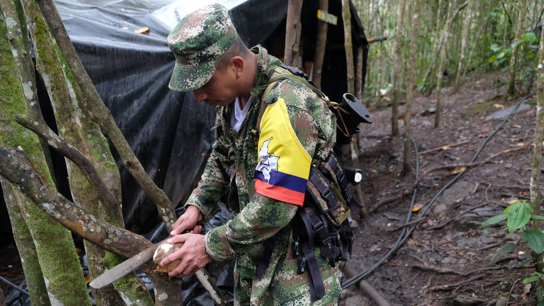 Disidencia De Las FARC En Nariño Manifiesta Su Intención De Diálogo Con ...