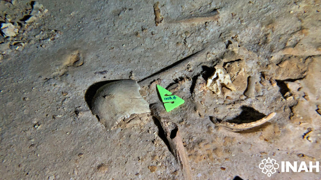El INAH aclara la información sobre el esqueleto prehistórico hallado en un cenote cercano a la ruta del Tren Maya