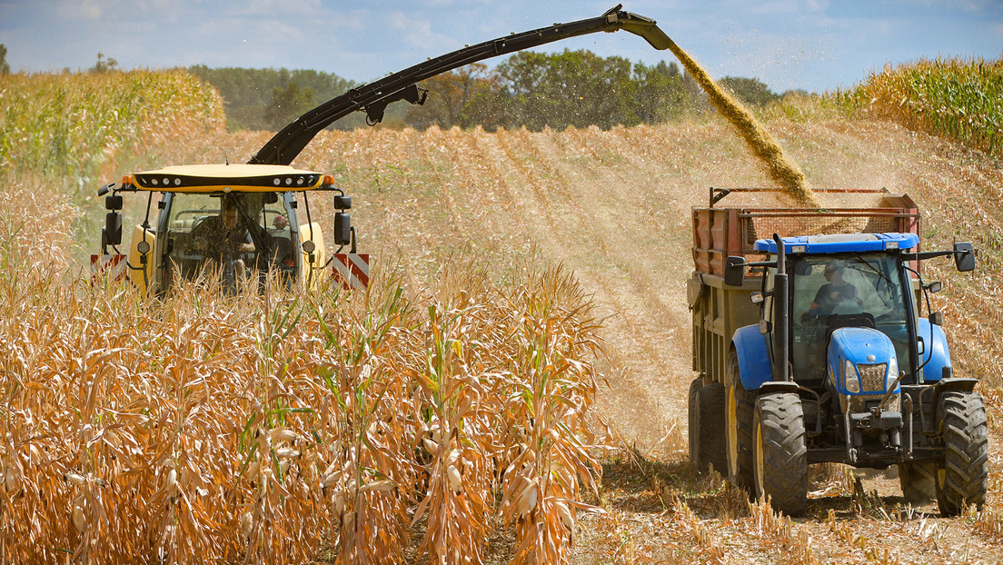 Francia espera su peor cosecha de maíz en 32 años debido a la sequía