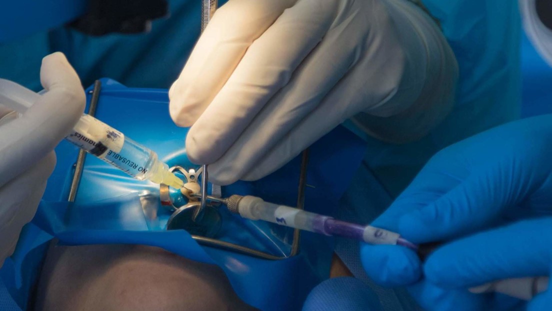 Por primera vez en el mundo, científicos venezolanos regeneran pulpa dental a través del implante de células madre