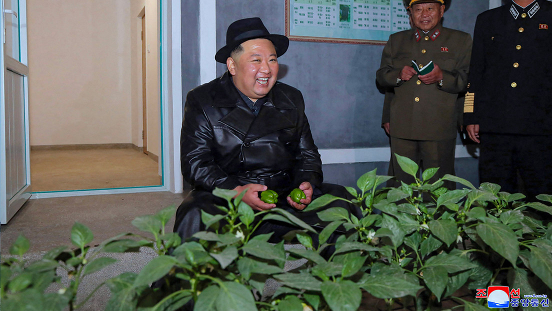 Corea del Norte convierte un polígono de misiles en una granja de invernaderos