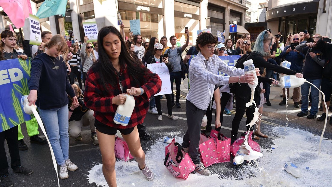 VIDEOS: Activistas veganos derraman litros de leche en supermercados del Reino Unido