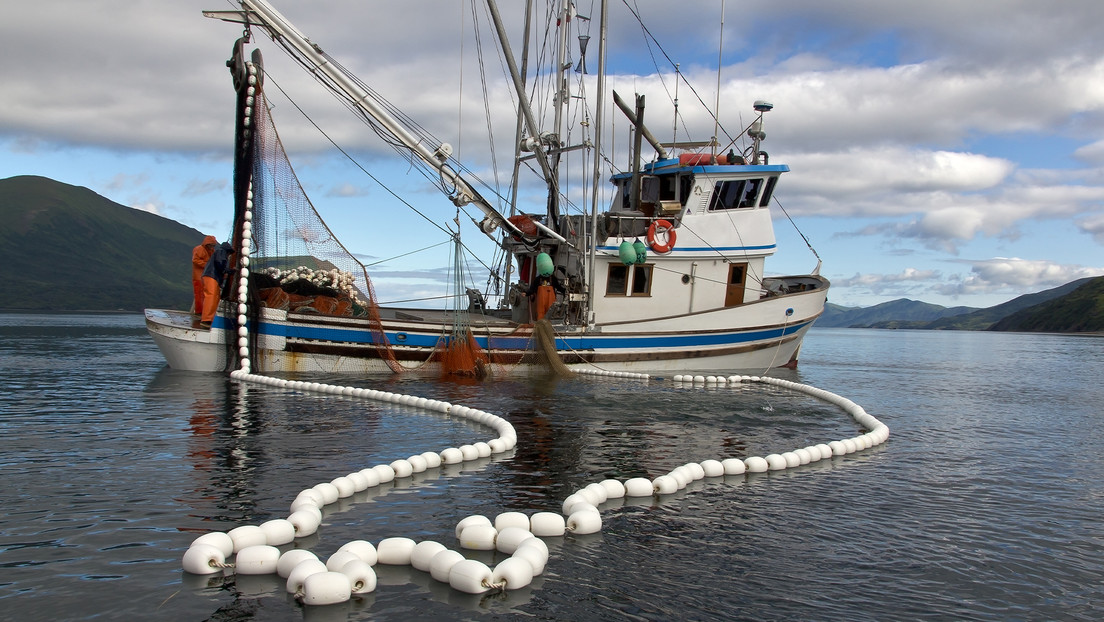 Legisladores argentinos denuncian que barcos que pescan ilegalmente en las Islas Malvinas se abastecen en Uruguay