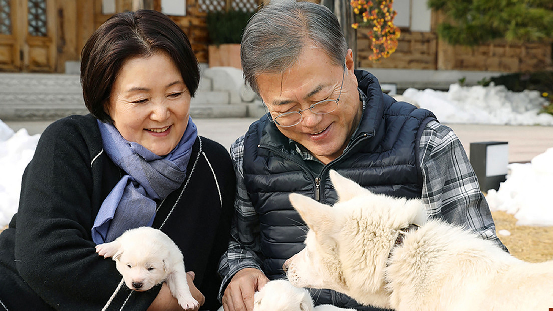 El expresidente de Corea del Sur planea renunciar a los perros que le regaló Kim Jong-un