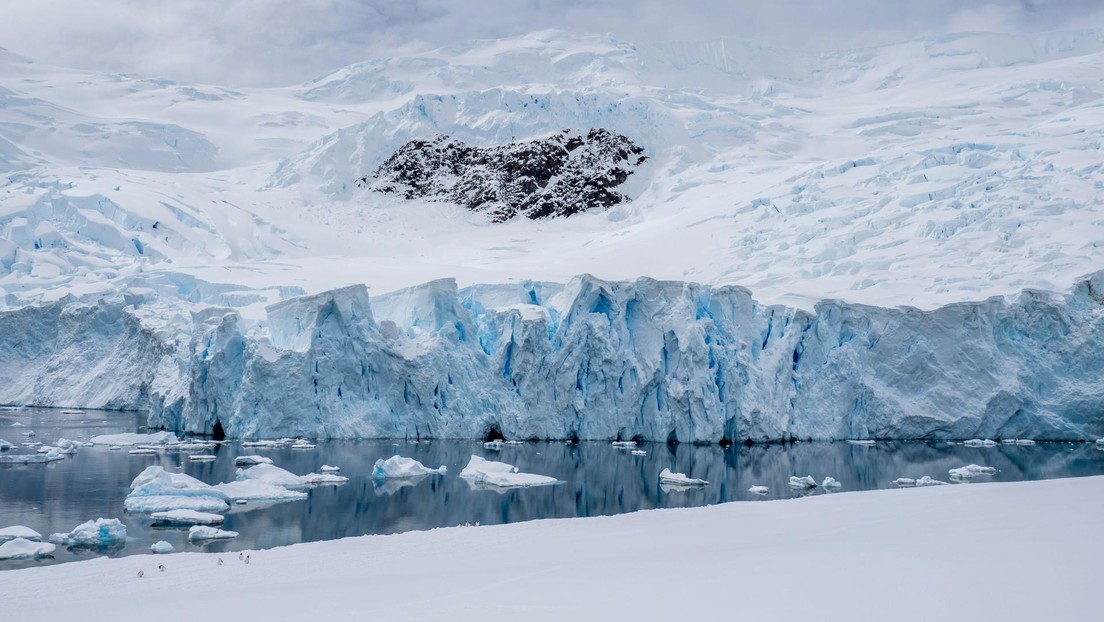 Descubren que hay vida microscópica debajo de los bloques de hielo de la Antártida