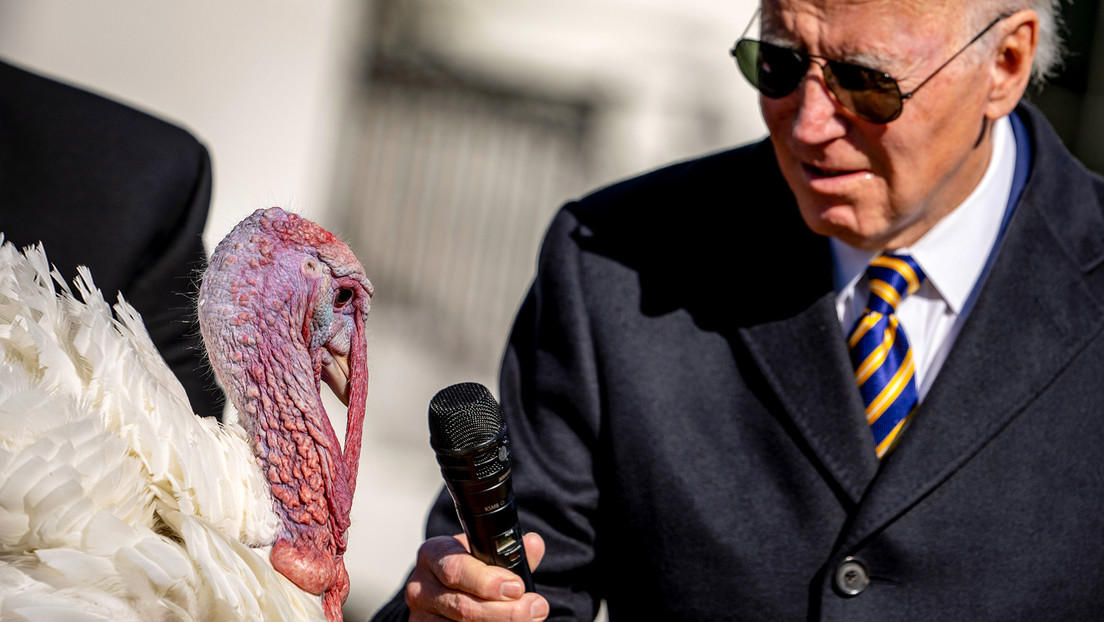"¿Quieres hablar?": Biden intenta dialogar con un pavo perdonado (VIDEOS)