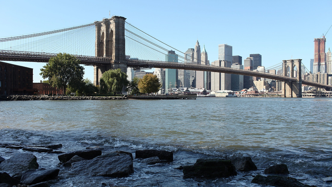 Encuentran pequeñas burbujas de un mar prehistórico atrapadas en rocas de Nueva York
