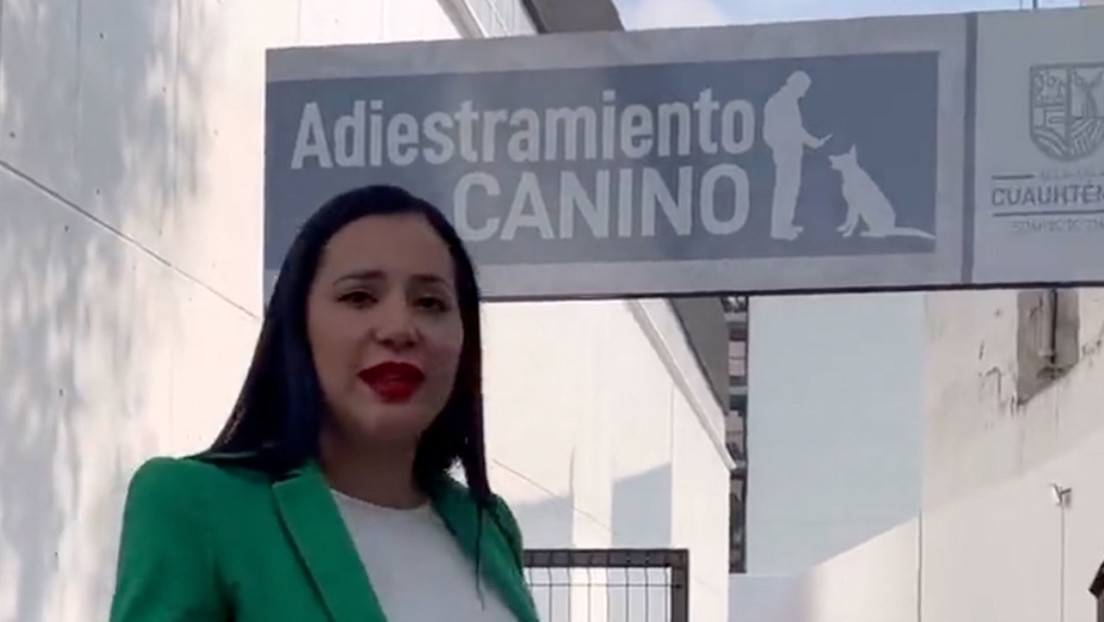 Así será el primer hotel para perros y gatos abandonados en la Ciudad de México (VIDEO)