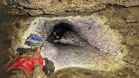 ¿Perros salchicha gladiadores?: Descubren restos de sus ancestros debajo del Coliseo de Roma